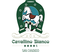 Hotel Cavallino Bianco