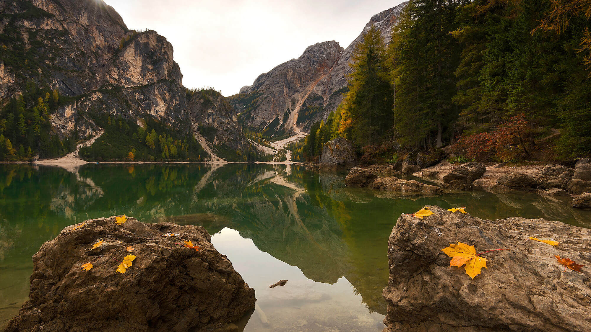 Pragser Wildsee im Herbst