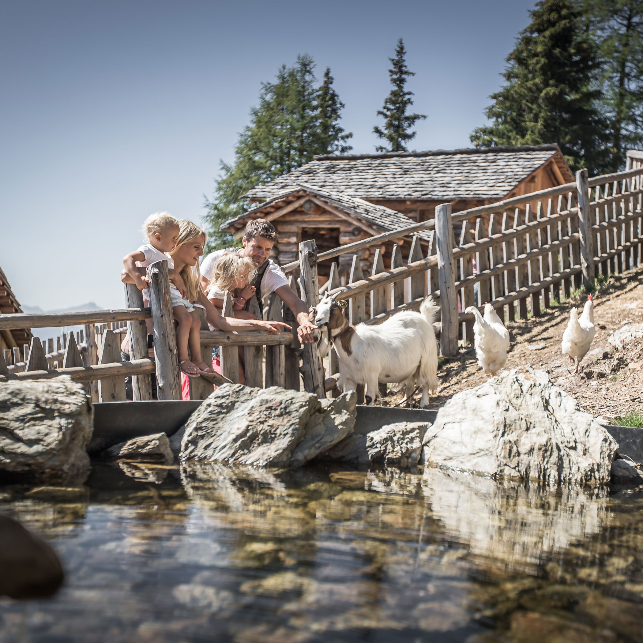 Gnome village with suspension bridges